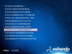 u深度u盤清除登錄密碼詳細(xì)使用教程