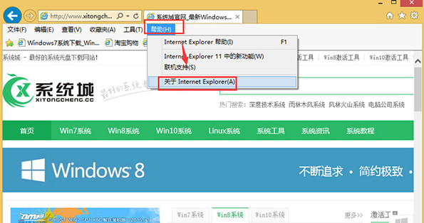 關(guān)于Internet explorer