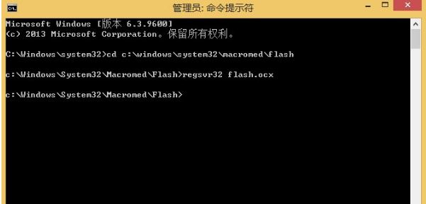 flash.ocx4