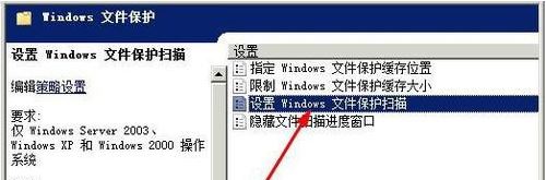 windows文件保護(hù)怎么關(guān)閉5